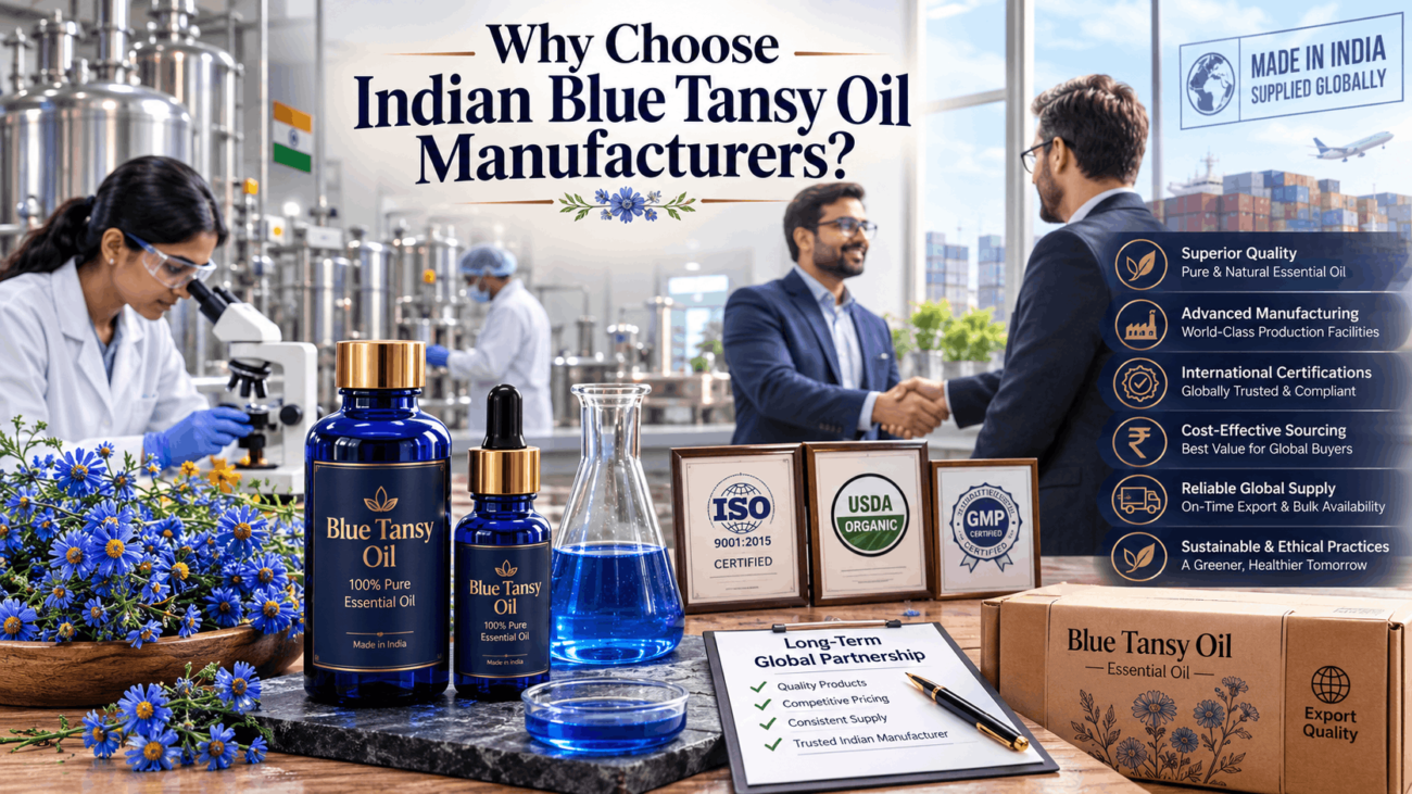 Why Choose Indian Blue Tansy Oil Manufacturers?
