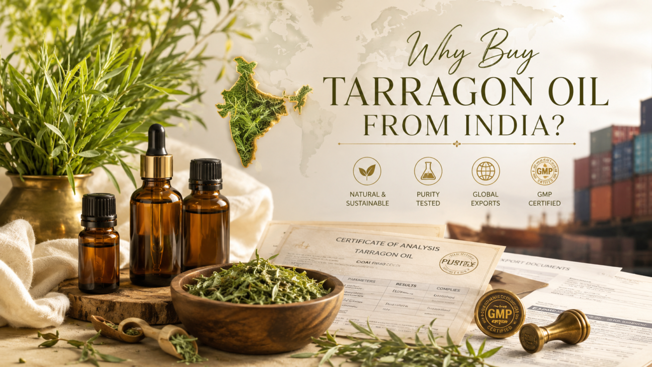Why Buy Tarragon Oil from India?