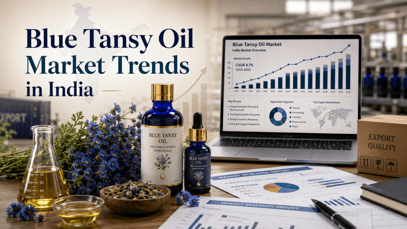 Blue Tansy Oil Market Trends In India 