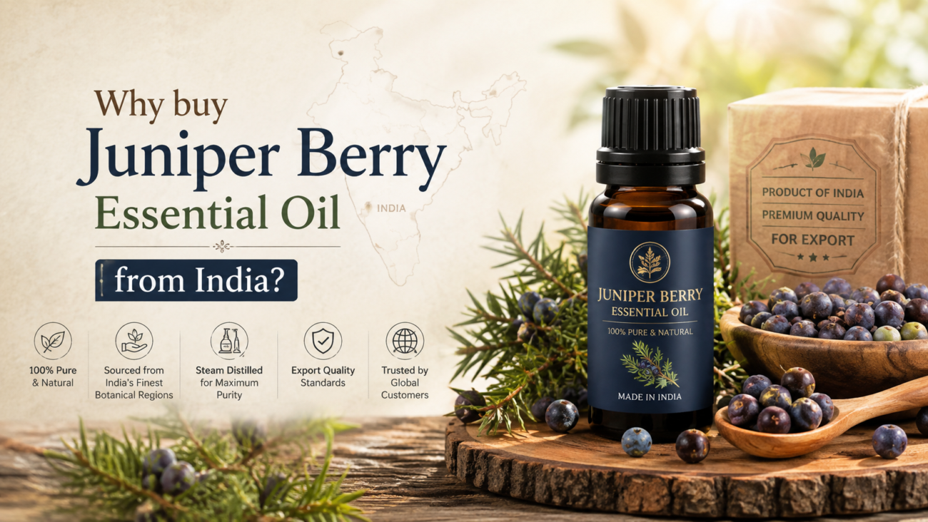 Why buy Juniper Berry Essential Oil from India? Why buy Juniper Berry Essential Oil from India?